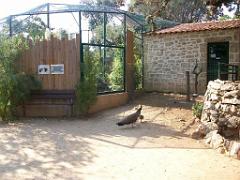 183 D21 SANARY SUR MER 1_000066